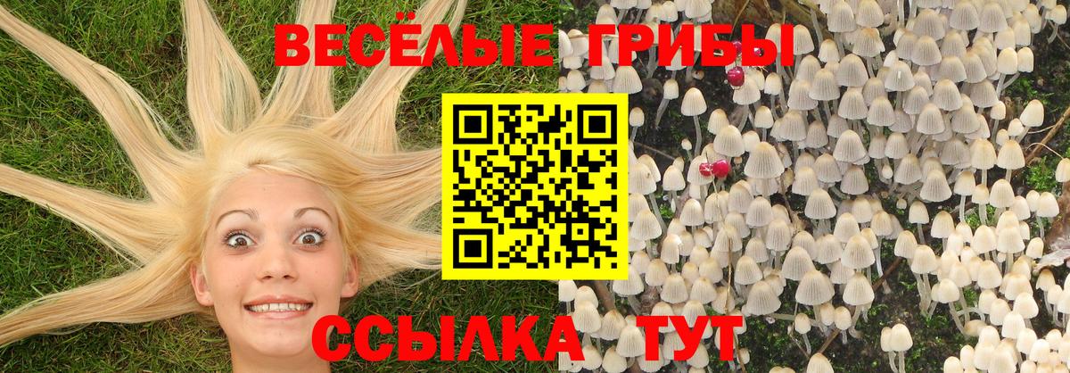 Галлюциногенные грибы ЛСД Фрязино